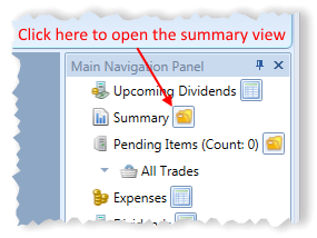 How To Open Summary View In Main Navigation Panel | Stock Portfolio Organizer